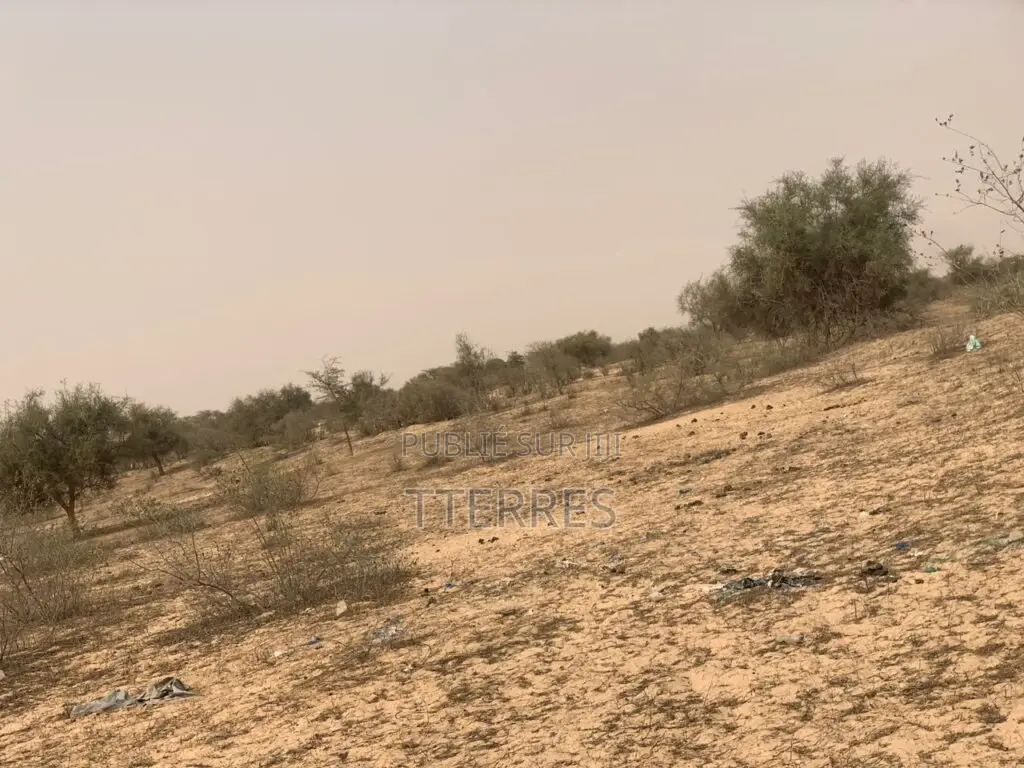L’Emplacement Industriel De 10,18 Hectares À Diokoul – Kébémer !