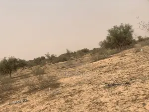L’Emplacement Industriel De 10,18 Hectares À Diokoul – Kébémer !