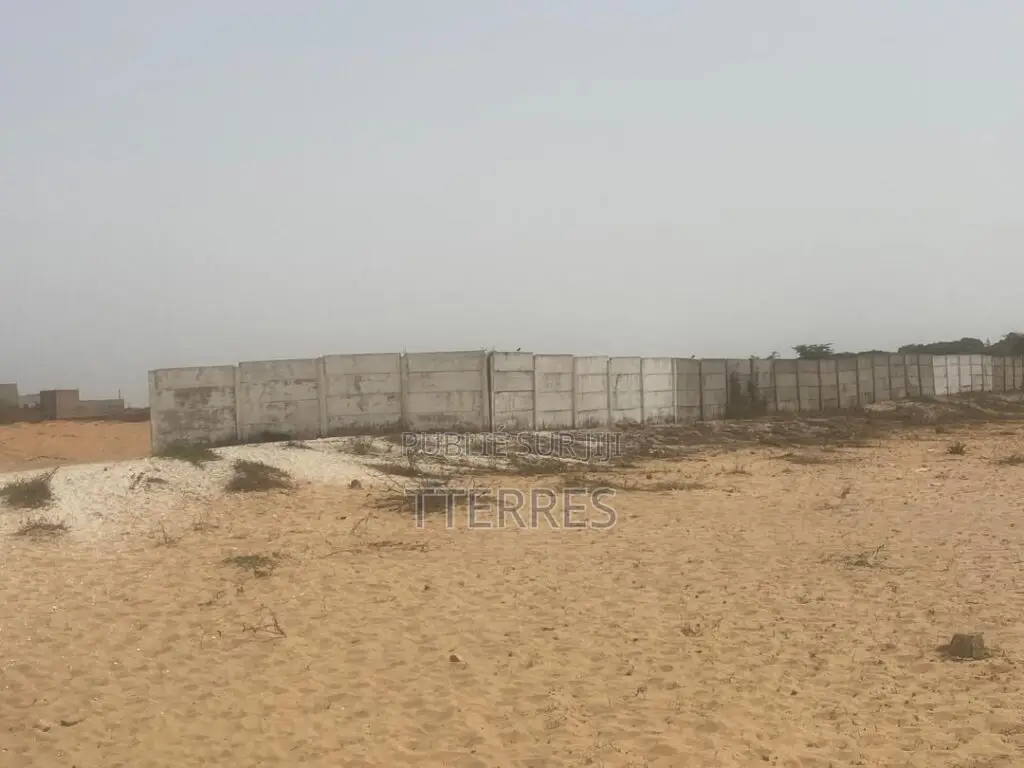 Opportunité : 8 Hectares Industriels (Axe Kayar-Thiès)