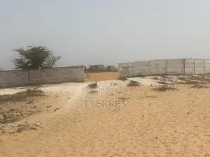Opportunité : 8 Hectares Industriels (Axe Kayar-Thiès)