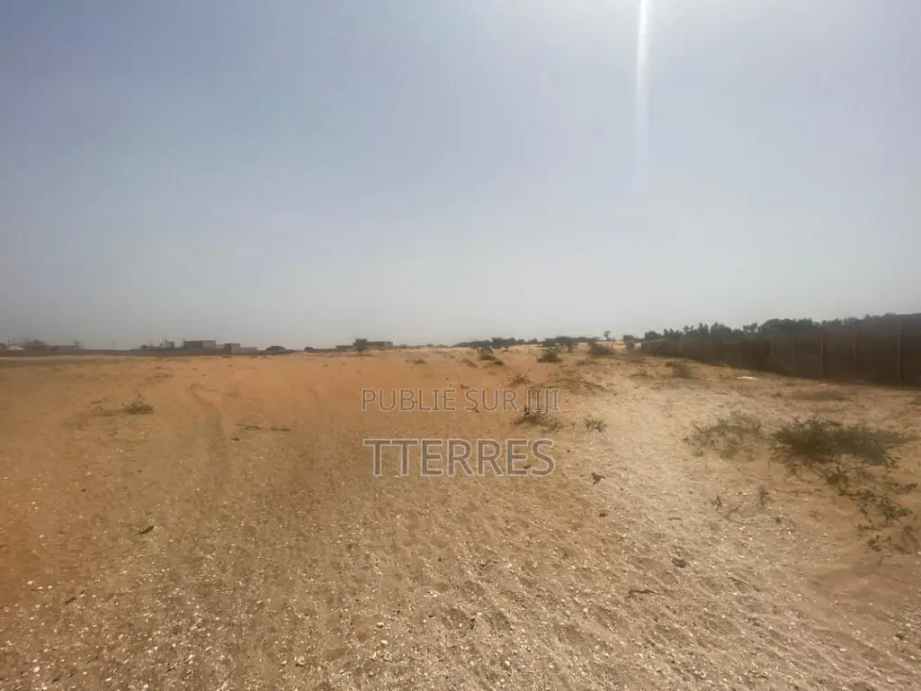 Opportunité : 8 Hectares Industriels (Axe Kayar-Thiès)
