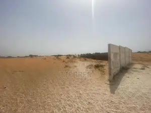 Opportunité : 8 Hectares Industriels (Axe Kayar-Thiès)
