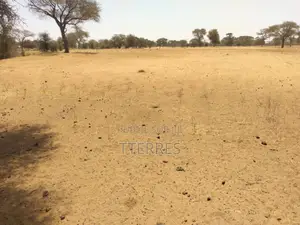 Terrain Industriel De 2,11 Hectares en Bordure De Route Vers Sagatta