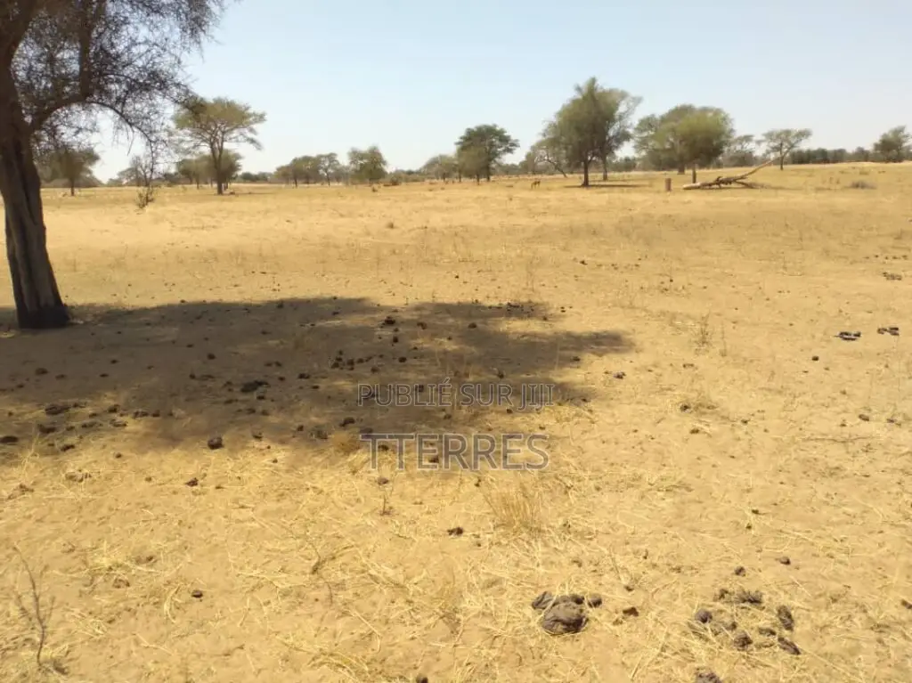 Terrain Industriel De 2,11 Hectares en Bordure De Route Vers Sagatta