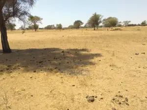 Terrain Industriel De 2,11 Hectares en Bordure De Route Vers Sagatta