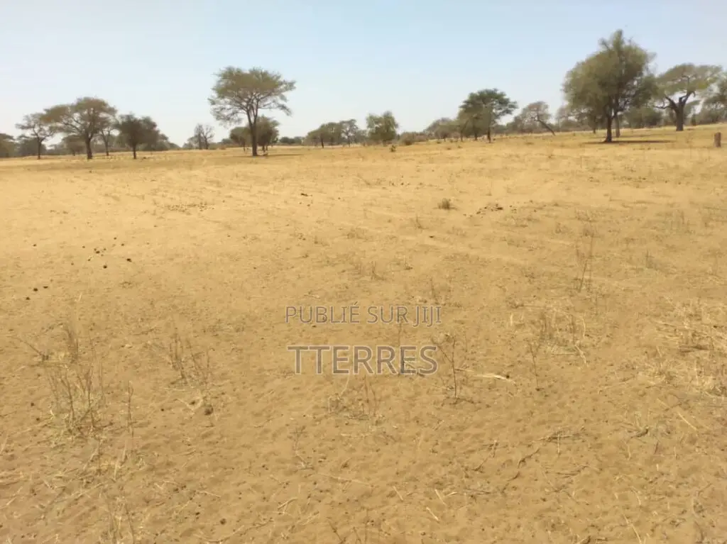 Terrain Industriel De 2,11 Hectares en Bordure De Route Vers Sagatta