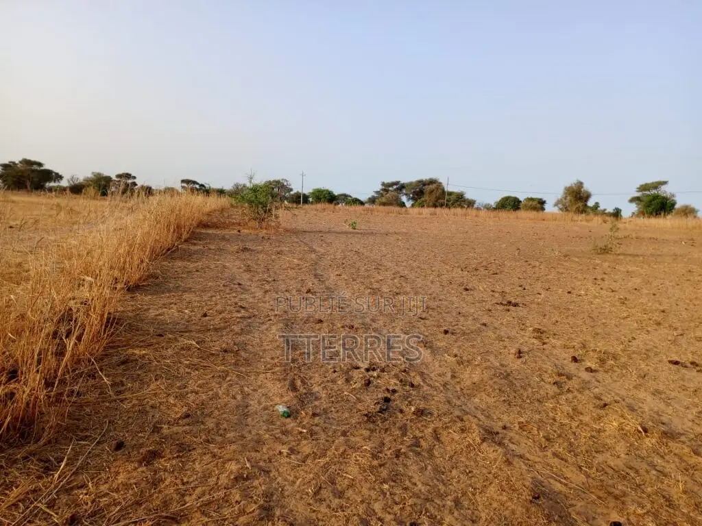 Terrain Industriel De 5001 M2 Vers Tassette – Thiès