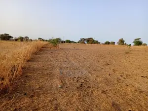 Terrain Industriel De 5001 M2 Vers Tassette – Thiès