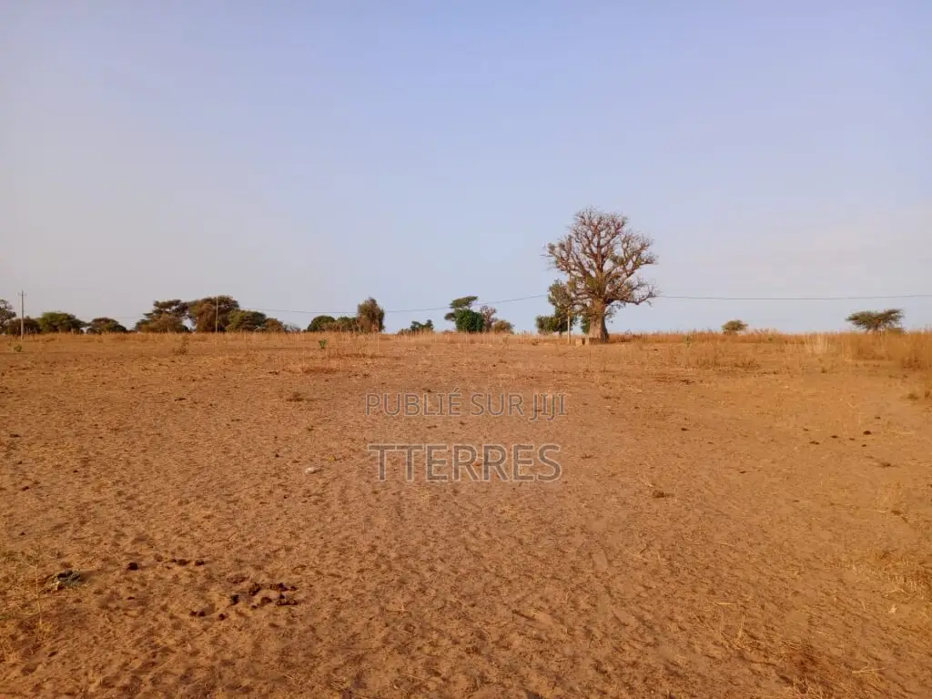 Terrain Industriel De 5001 M2 Vers Tassette – Thiès