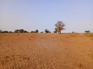 Terrain Industriel De 5001 M2 Vers Tassette – Thiès