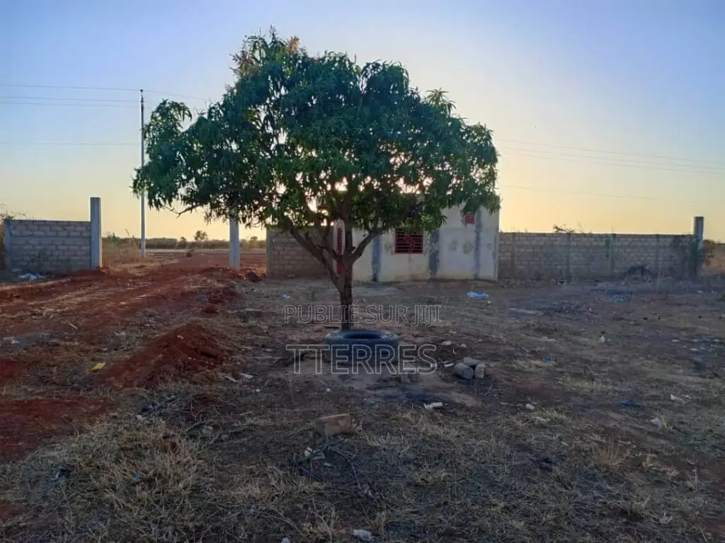 Terrain Industriel De 4,33 Hectares Vers Notto Diobass – Thiès