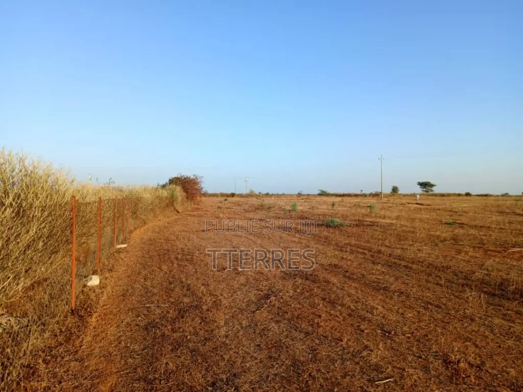 Terrain Industriel De 4,33 Hectares Vers Notto Diobass – Thiès
