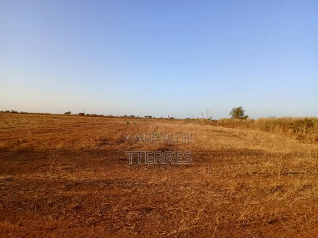 Terrain Industriel De 4,33 Hectares Vers Notto Diobass – Thiès