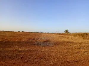 Terrain Industriel De 4,33 Hectares Vers Notto Diobass – Thiès