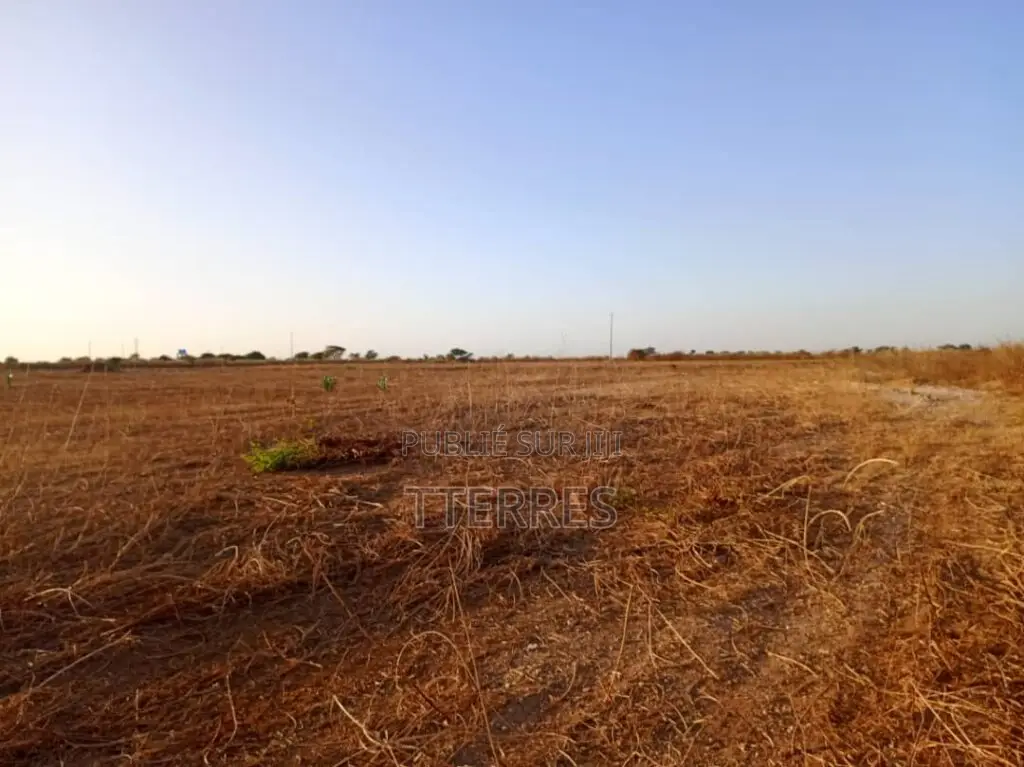 Terrain Industriel De 4,33 Hectares Vers Notto Diobass – Thiès