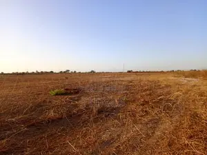 Terrain Industriel De 4,33 Hectares Vers Notto Diobass – Thiès