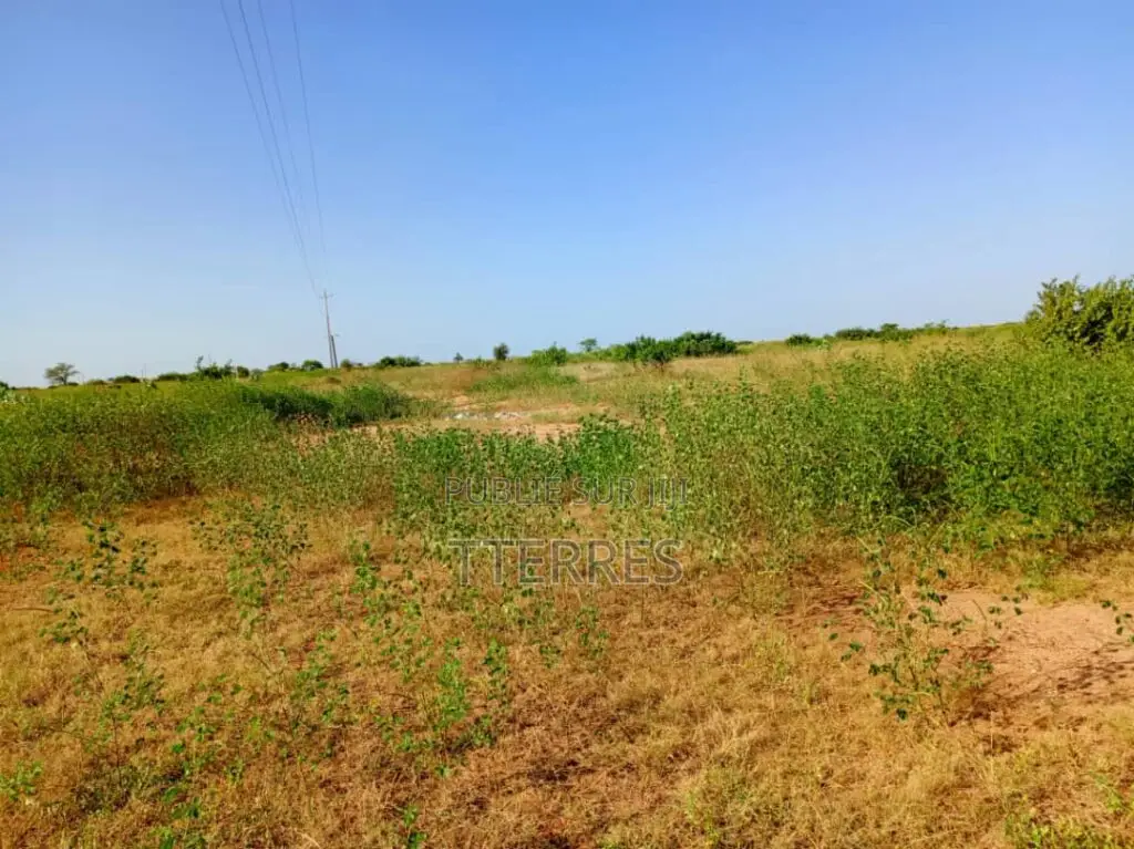 Terrain Industriel De 8.779 M2 en Bordure De Route Vers Tassette