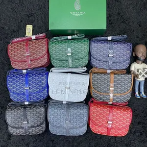 Sacoche Goyard Disponible