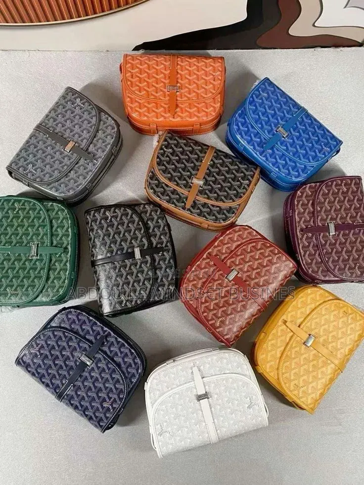 Sacoche Goyard Disponible