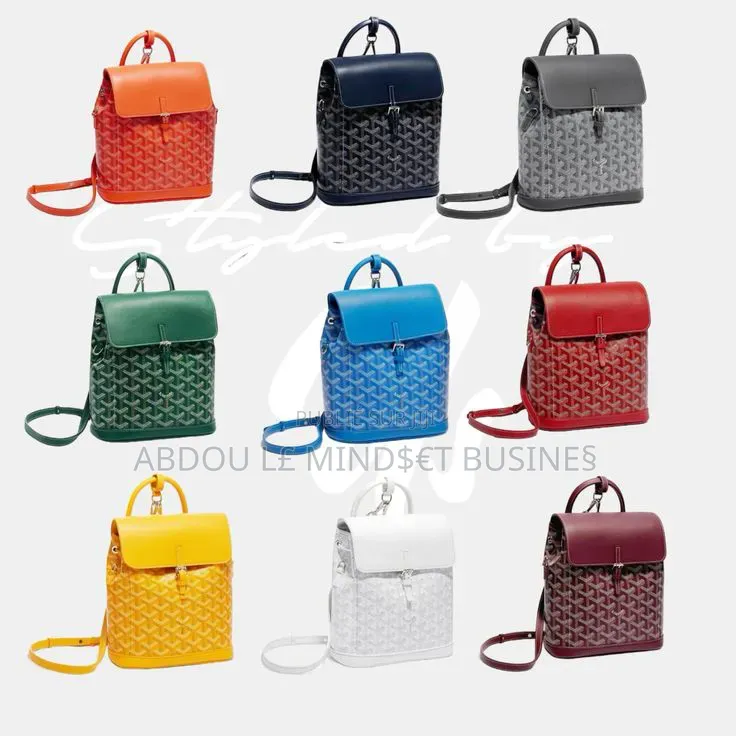 Sac Goyard Alpine Disponible
