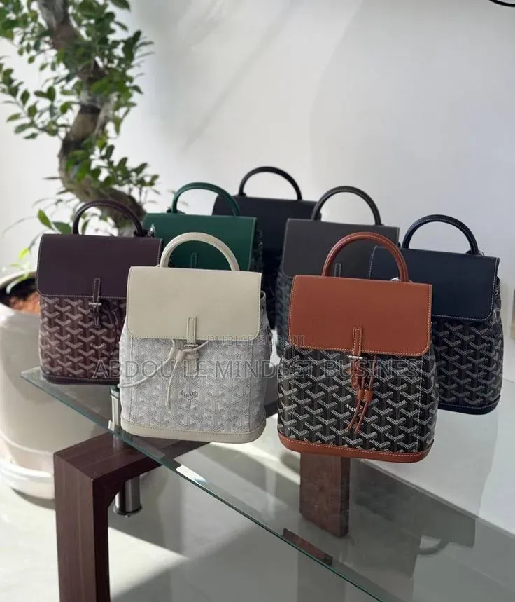 Sac Goyard Alpine Disponible