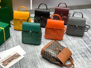 Sac Goyard Alpine Disponible