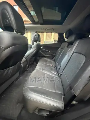 Hyundai Santa Fe 2017 Noir