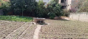 Terrain À Mbour