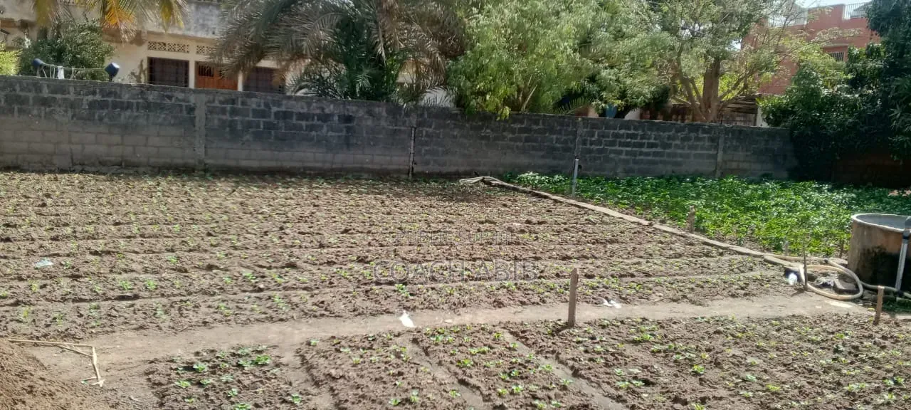 Terrain À Mbour