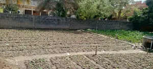 Terrain À Mbour