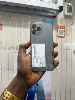 Nouveau Apple iPhone 12 Pro Max 256 GB Gris