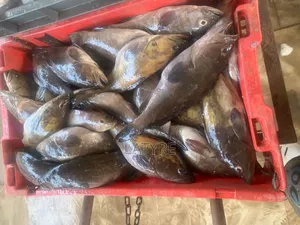 Vendeur De Poisson