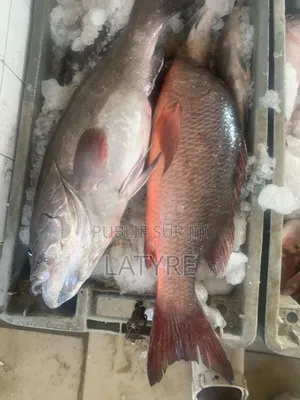 Vendeur De Poisson