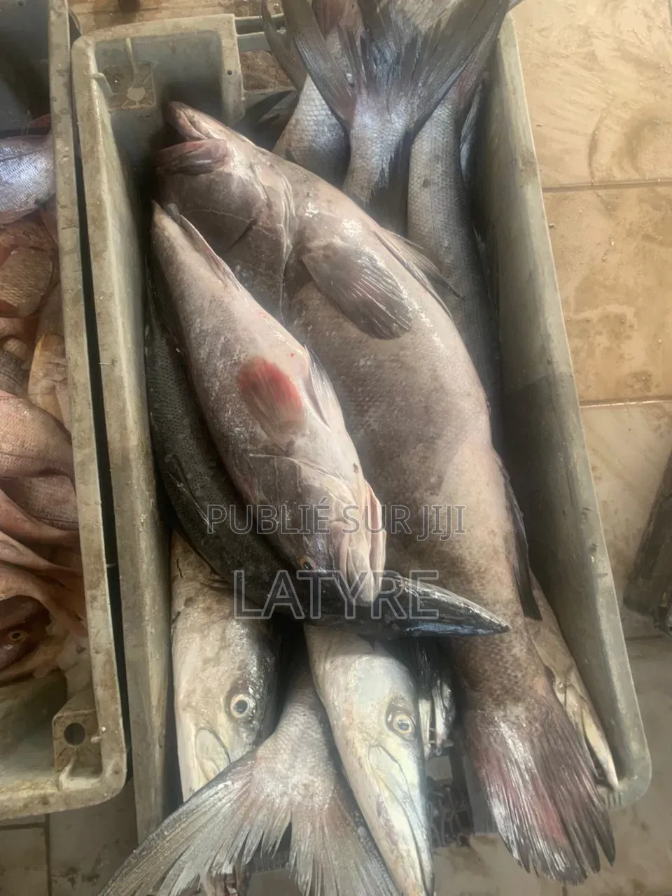 Vendeur De Poisson
