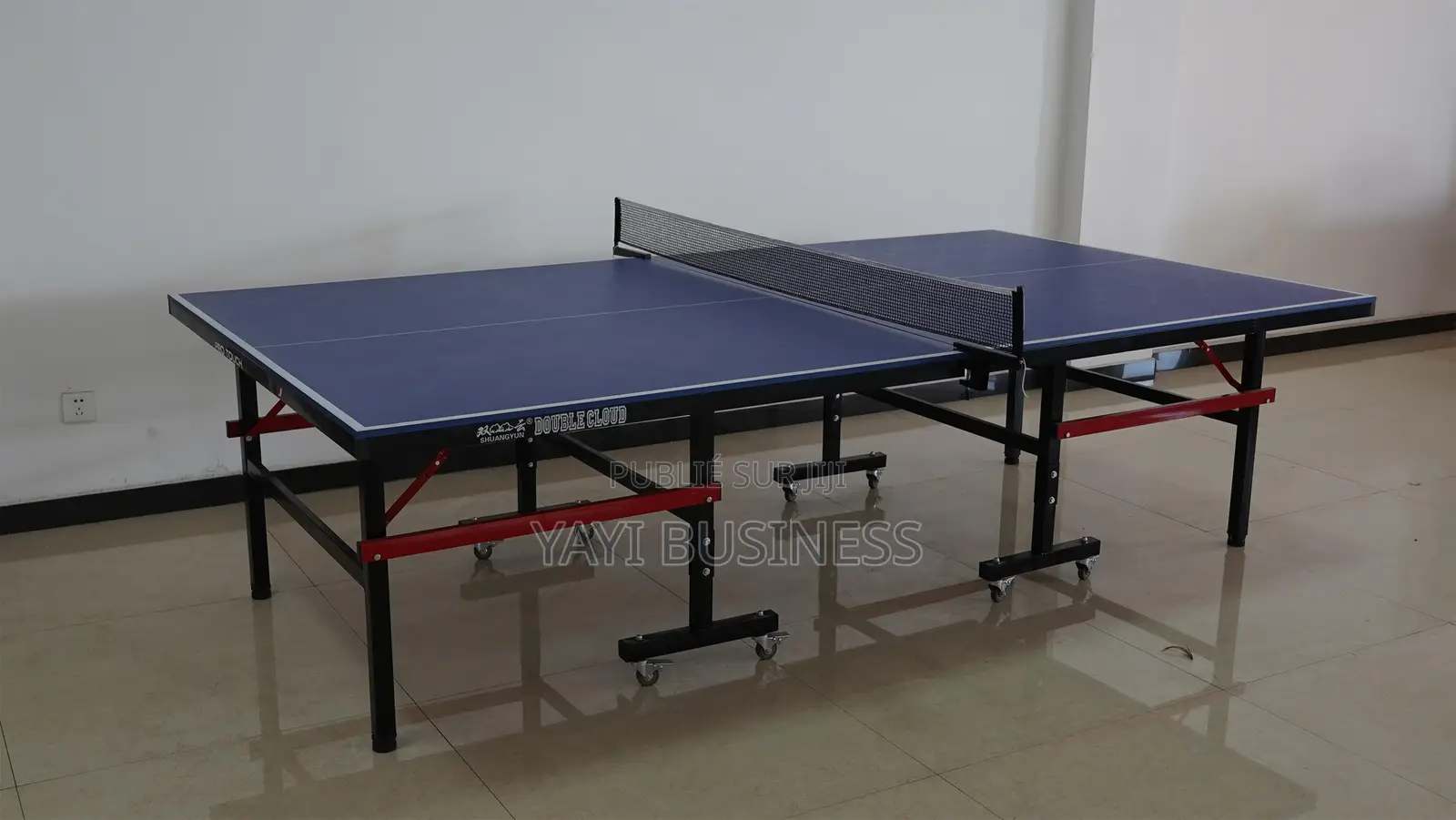 Table De Ping-Pong Pliable Jardin