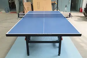 Table De Ping-Pong Pliable Jardin