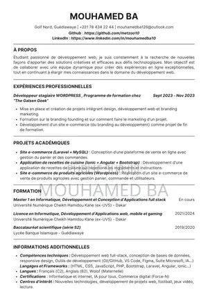 Intégrateur De Contenus Web (À Distance)