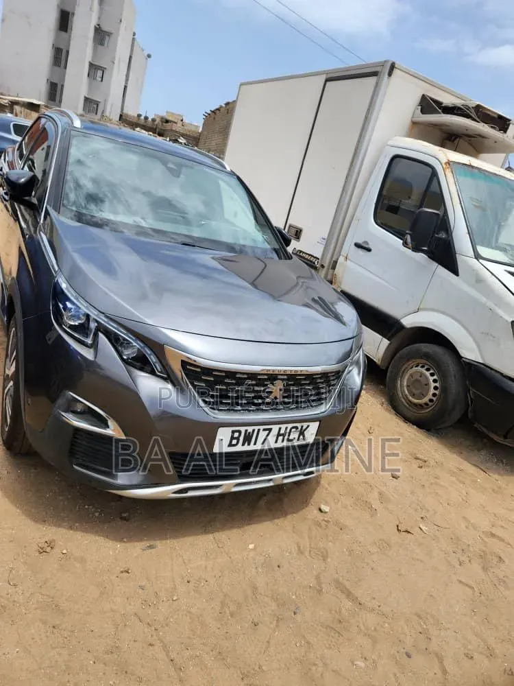 Peugeot 3008 2018 Gris