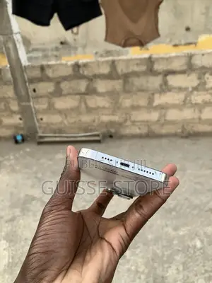 Apple iPhone 14 Pro Max 256 GB Blanc