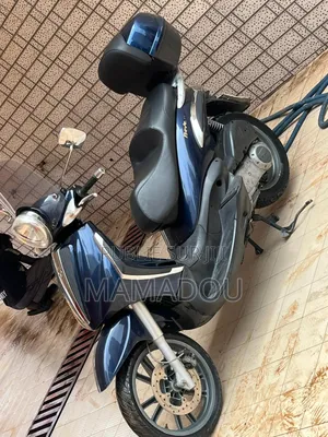 Bir Magnum 2005 Bleu