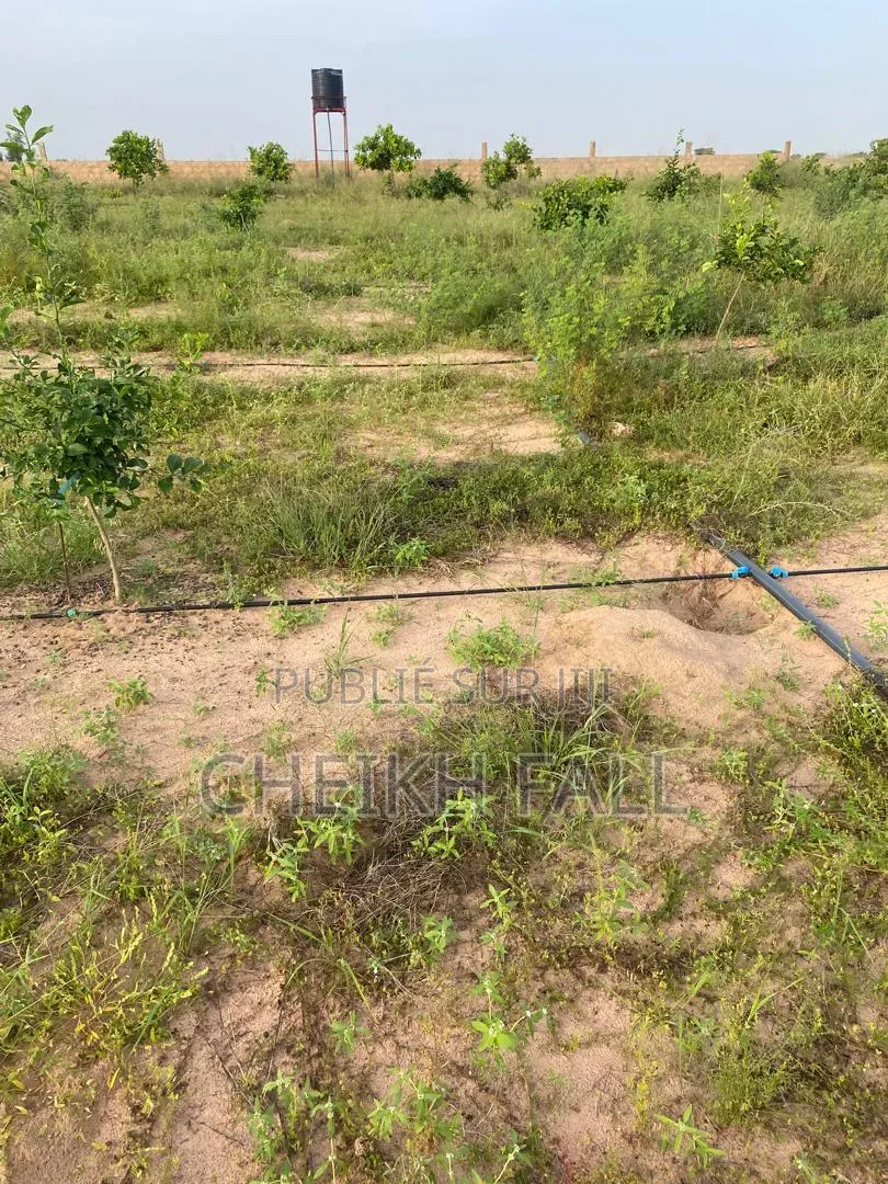 Champs Et Vergers Agricoles À Vendre