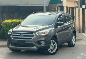 Ford Escape 2017 Gris