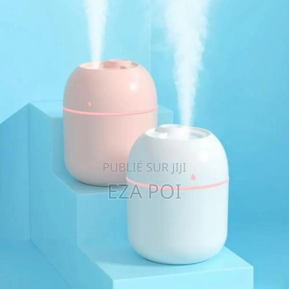 Mini Humidificateur Usb 220ml