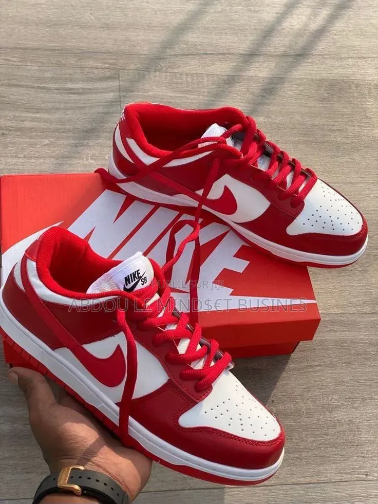 Nike Sb All Color Disponible