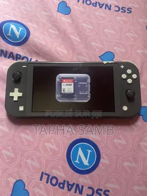 Nintendo Lite