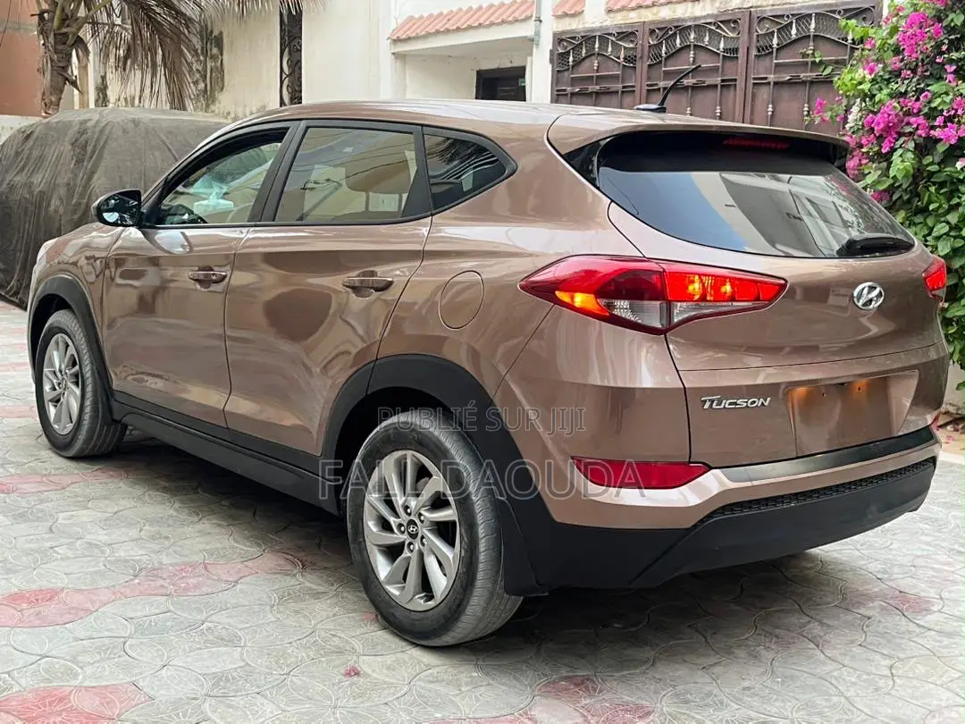 Hyundai Tucson 2017 Marron