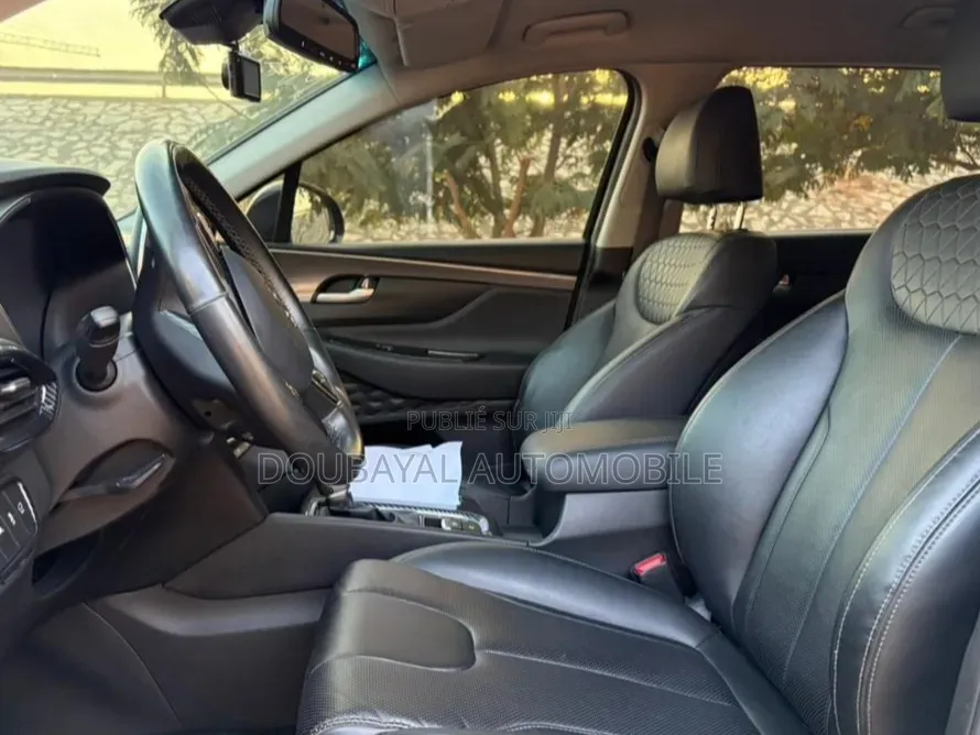 Hyundai Santa Fe 2019 Noir Mat