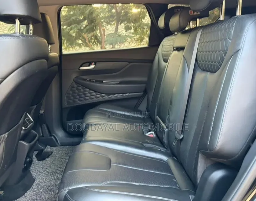Hyundai Santa Fe 2019 Noir Mat