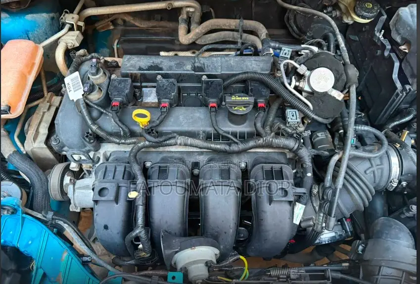 Ford Focus 2014 Bleu