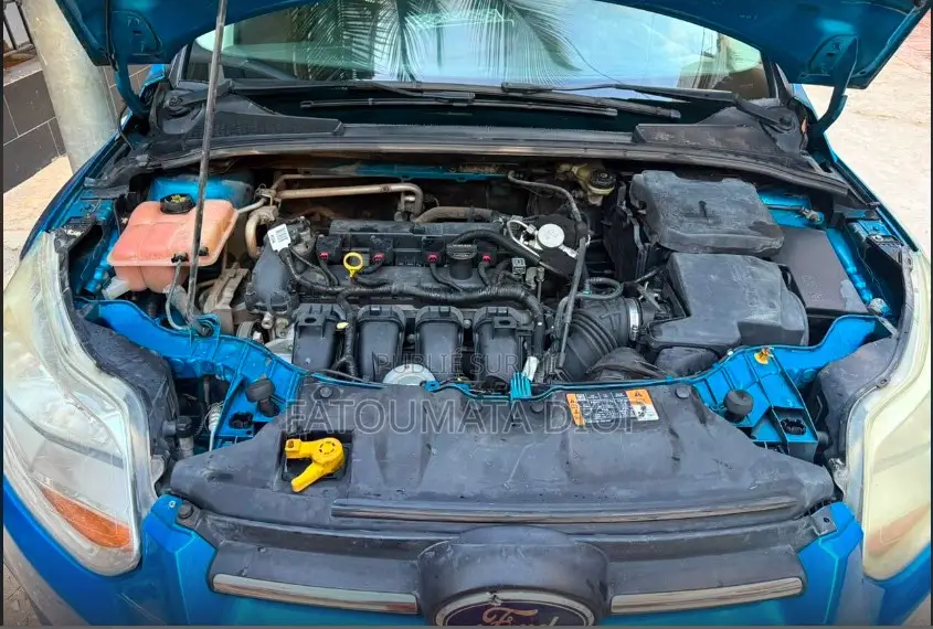 Ford Focus 2014 Bleu